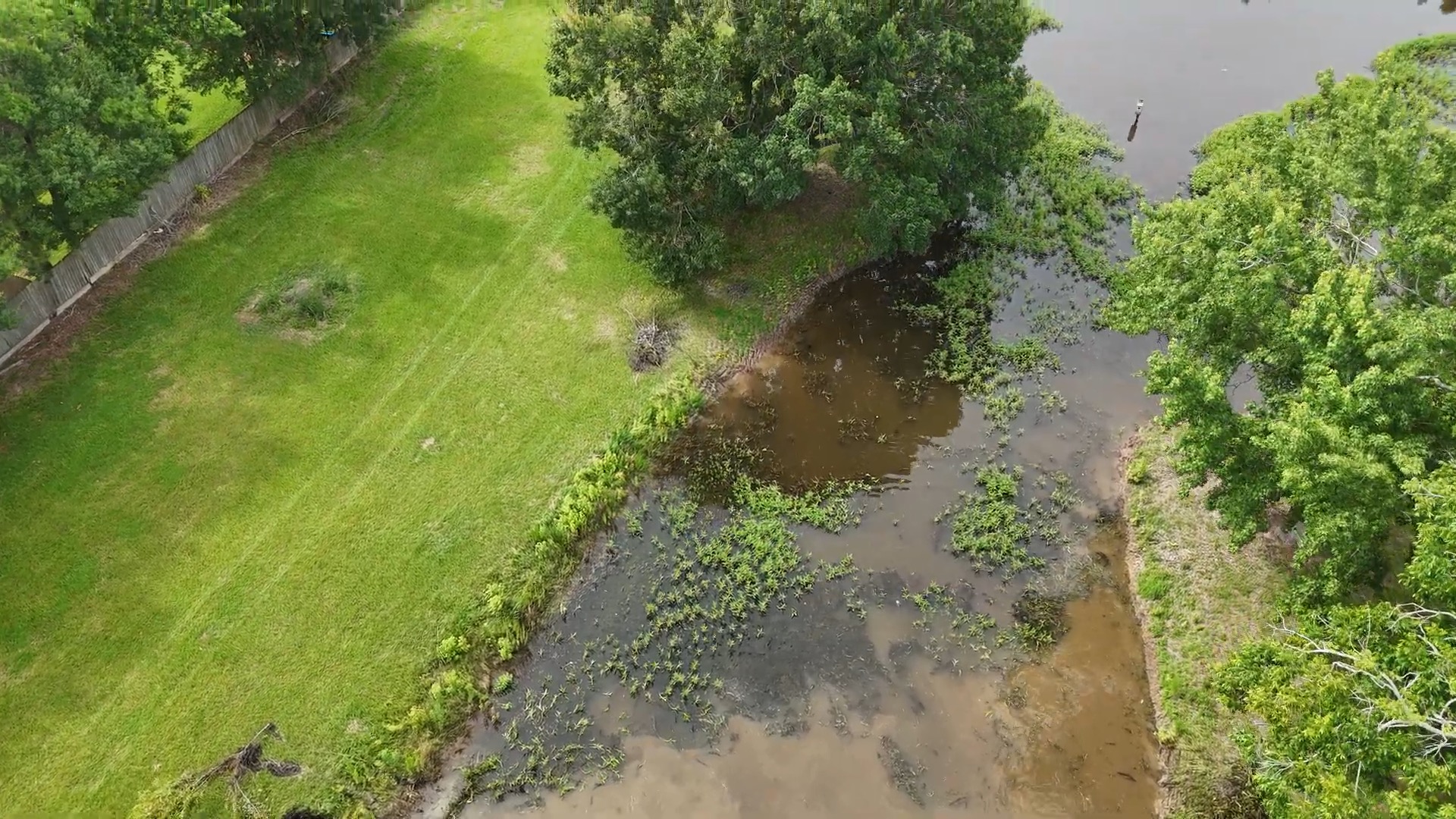 Pond Doctor project